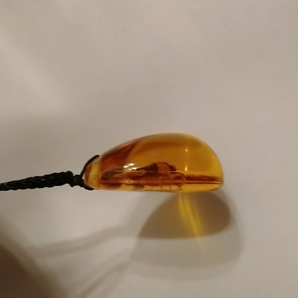 🦂 REAL brown scorpion in amber on adjustable rope necklace/choker - Picture 3 of 7
